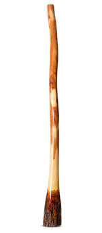 Ironbark Didgeridoo (IB201)